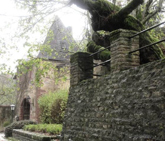 Roth Castle, © Felsenland Südeifel Tourismus GmbH