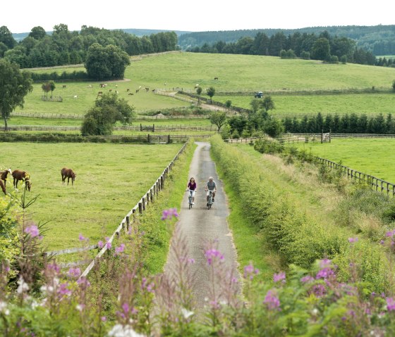 Vennbahn cycle path near Wolfsbusch Montenau, © vennbahn.eu