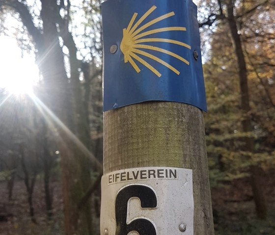 Eifelcamino podium Wittlich Klausen, © Tourist-Information Wittlich Stadt & Land