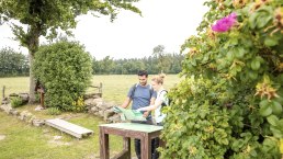 Vue sur l'Eifel Steling, © Eifel Tourismus GmbH, AR-shapefruit AG