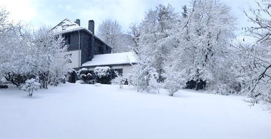 Garden panorama