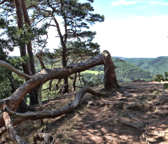 Vue sur la Ruraue, © http://der-eifelyeti.de/