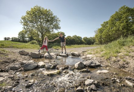 Idyllic Polch stream valley, © Kappest, REMET