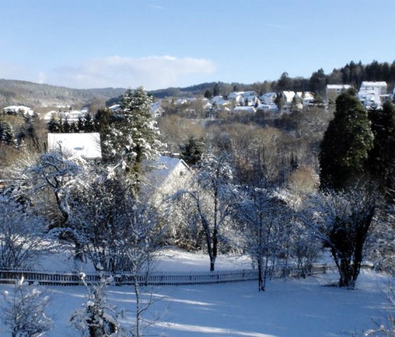 Window view in winter