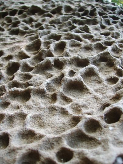 Gros plan d'une altération en nid d'abeille sur la surface d'une roche.