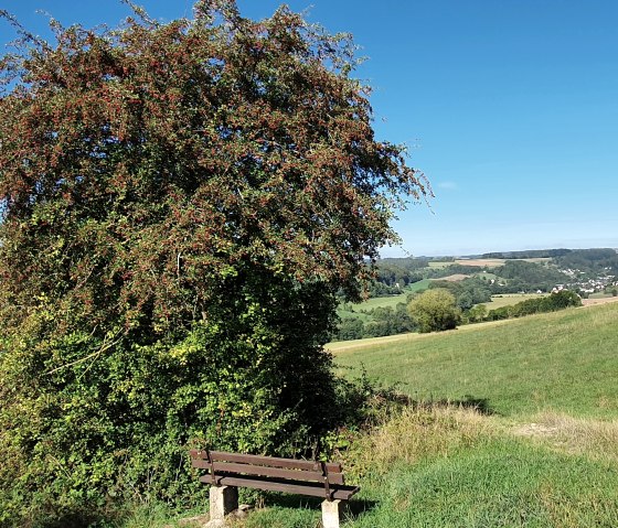 Bank auf einer Wiese mit Blick auf grüne Hügel, Bäume und Windräder unter klarem, blauem Himmel., © TI BItburger Land - Steffi Wagner