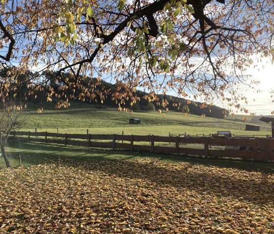 Der Garten im Herbst