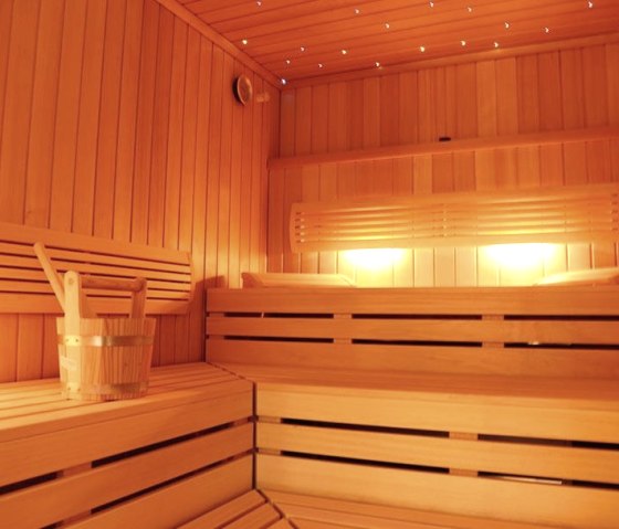 Sauna with starry sky, © Rotes Einhorn