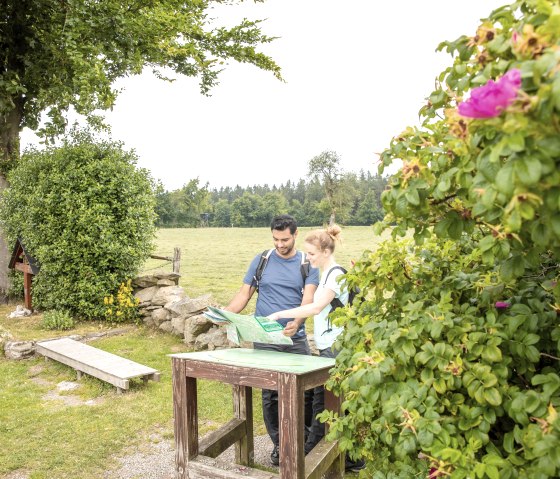 Vue sur l'Eifel Steling, © Eifel-Tourismus GmbH, Dominik Ketz