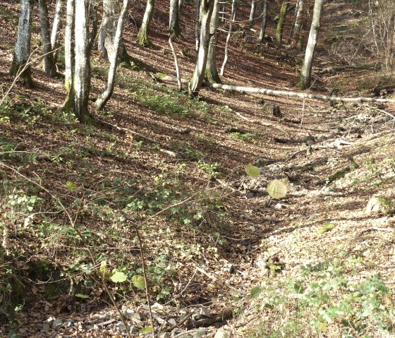 petit ruisseau dans la forêt, © Tourist-Information Islek