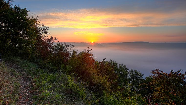 Lever de soleil sur un paysage brumeux avec des arbres et un sentier au premier plan.