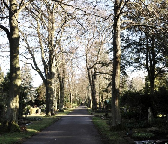 Cimetière principal2, © Barbara Simons-Buttlar