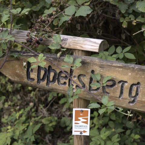 Eppelsberg bord, © Kappest/VG Pellenz