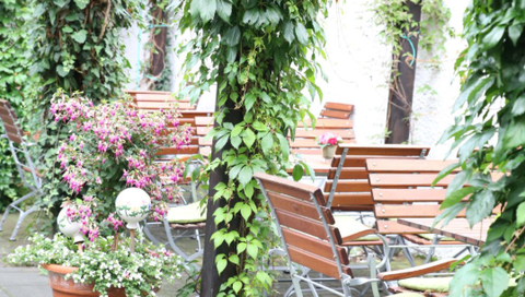 Een uitnodigende buitenruimte met houten tafels en stoelen, omgeven door groene planten. Kleurrijke bloemen in potten zorgen voor een vriendelijke sfeer.