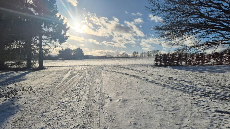 Een besneeuwd landschap met heuvelachtige velden en wolken aan de hemel. De zon schijnt door de bomen en zorgt voor een warme gloed.