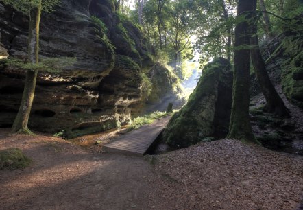 Felsen im NaturWanderPark delux, © Naturpark Südeifel / C. Schleder