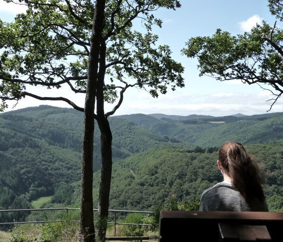 View from the Nitzblick in summer, © Laura Rinneburger