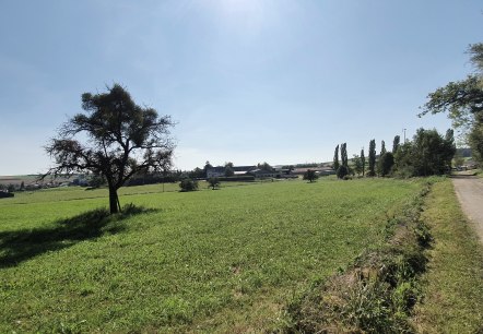 Groene weide met een boom, een dorp en windturbines op de achtergrond, onder een strakblauwe hemel., © TI Bitburger Land