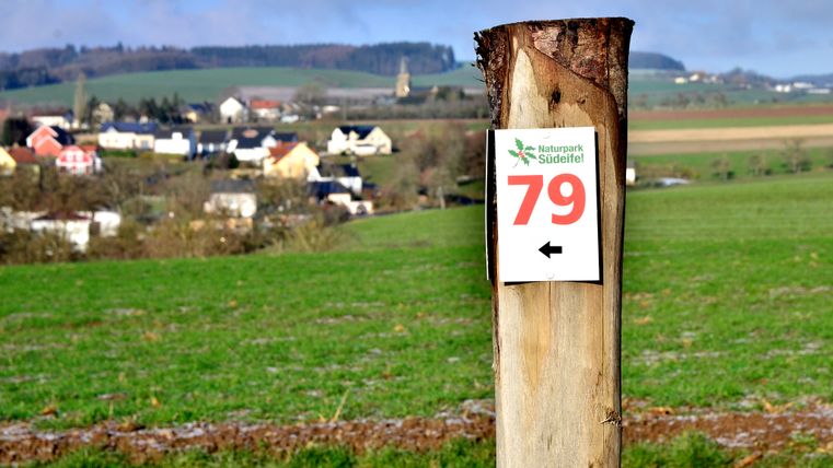Un panneau indicateur dans le parc naturel Südeifel avec le numéro 79 devant un paysage rural.