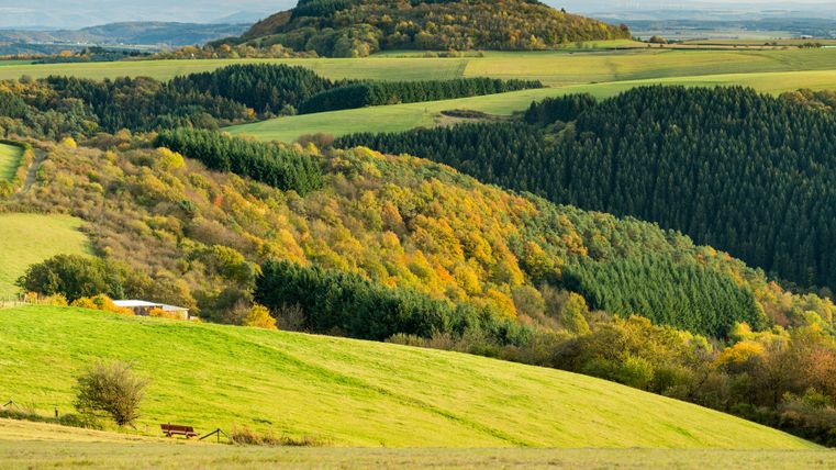 Landschaft mit grünen Hügeln und buntem Herbstwald, im Hintergrund der Mosenberg.