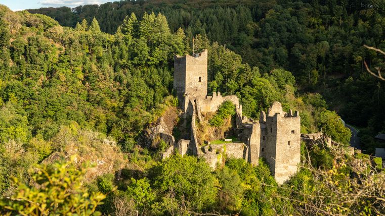 Ruinen der Niederburg Manderscheid inmitten eines bewaldeten Hügels bei Sonnenuntergang.