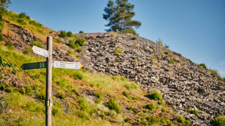 Tolle und gut ausgezeichnete Wanderwege durchqueren das einzigartige Kaulenbachtal.