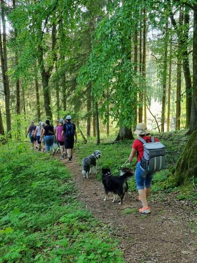 A group of hikers moves along the path, surrounded by lush greenery and tall trees. A dog accompanies the hikers on their journey.
