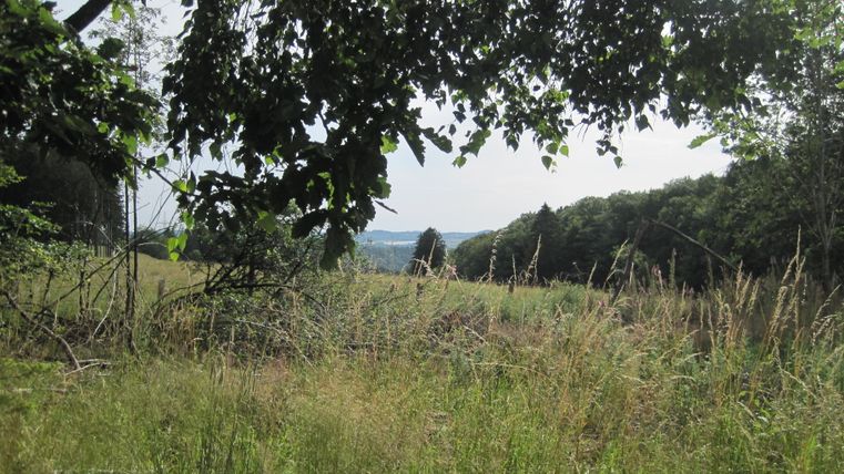 Landscape with meadow, trees and view into the distance near Kerschenbach.