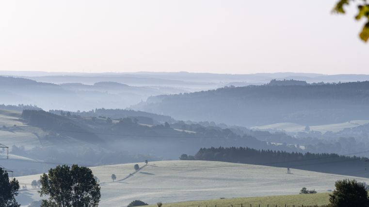 Vue du paysage de l'Eifel avec des collines douces et des arbres dans la brume matinale.