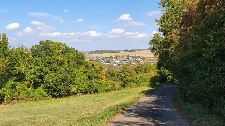 Wanderweg mit Blick auf Meckel, umgeben von Bäumen und Wiesen.