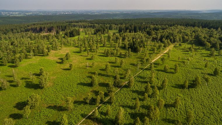 Vue aérienne d'une zone boisée verdoyante avec un sentier de randonnée.