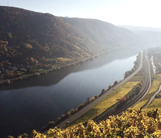 La Moselle en automne