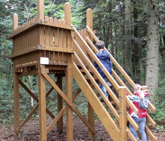 Zwei Kinder klettern eine hölzerne Plattform im Wald hinauf. Die Umgebung ist dicht bewaldet., © Tourist-Information Bitburger Land