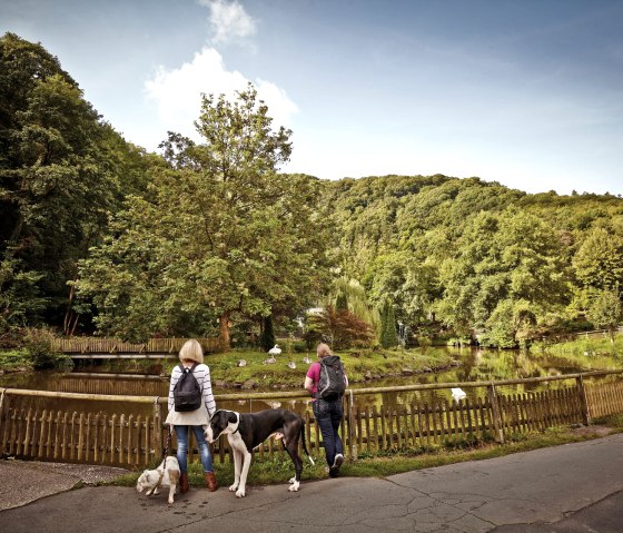 Zwanenvijver, © GesundLand Vulkaneifel/Marco Rothbrust