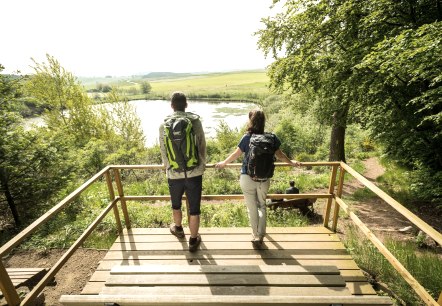 ET-2019-354-Vulcanpfad, Eichholzmaar ©, © Eifel Tourismus GmbH, Dominik Ketz