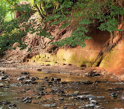 Een klein beekje stroomt langs een roodachtige aarden wal, omringd door groene bomen.