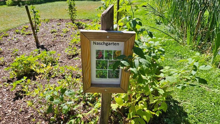 Une enseigne montre le "Naschgarten" avec des images de différentes plantes.
Le jardin est vert et ensoleillé, entouré d'une diversité de plantes colorées.
