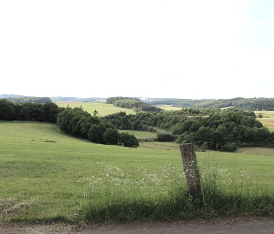 Am Waldrand, © M.Eis