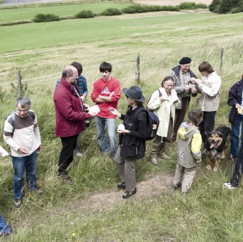 Führung im UNESCO Geopark, © Tourist-Information Hillesheim/E. Molter