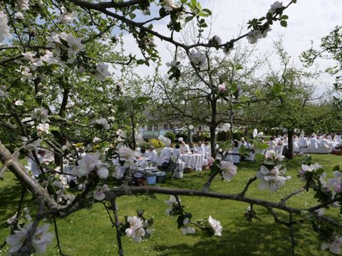 Ein blühender Obstgarten mit Tischen, an denen Menschen im Freien sitzen. Das Gras ist grün und die Blüten verleihen der Szene eine fröhliche Atmosphäre.
