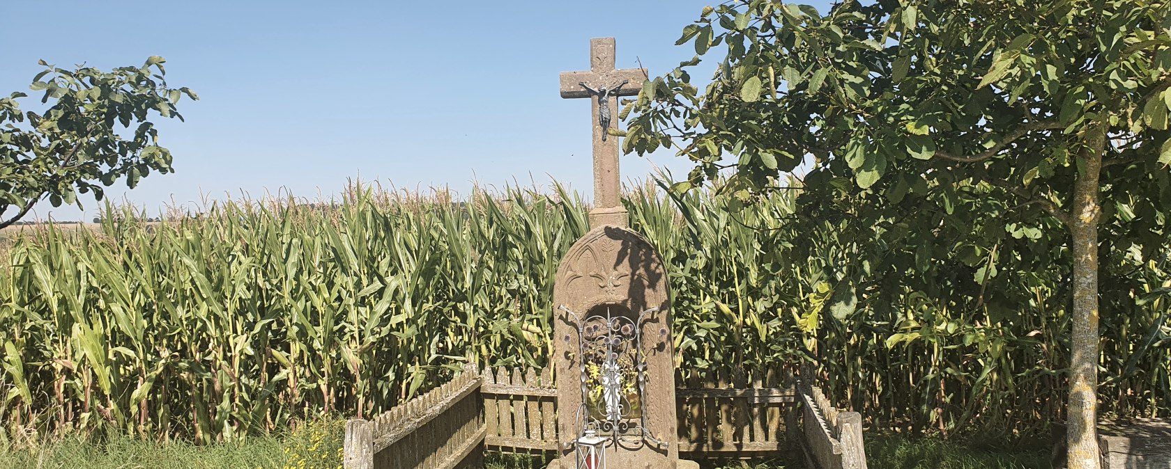 Ein Steinkreuz mit Jesusfigur steht vor einem Maisfeld, umgeben von Bäumen und einem Holzzaun. Der Himmel ist klar und blau., © TI Bitburger Land
