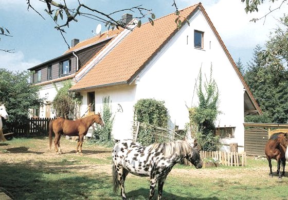 Vacation apartment Hoffmann