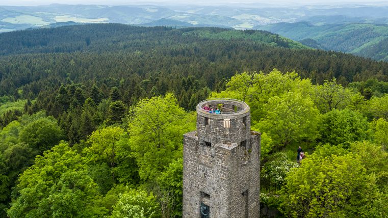 Steinerner Aussichtsturm inmitten eines dichten grünen Waldes, mit mehreren Personen auf der Aussichtsplattform. Im Hintergrund erstrecken sich bewaldete Hügel bis zum Horizont.