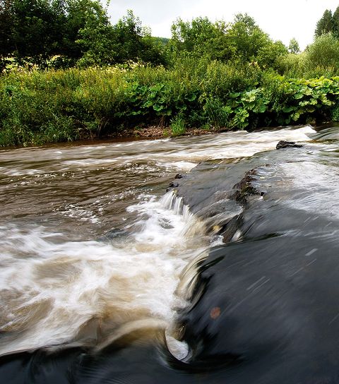 Fluss mit kleinem Wasserfall und üppiger Vegetation am Ufer.