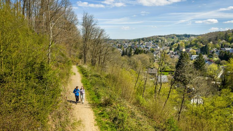 A hiking trail in nature with two people walking together. In the background, a small town and green trees can be seen.