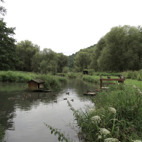 Willkommen am Morswiesener Weiher, © Foto: Svenja Schulze-Entrup, Quelle: Touristik-Büro Vordereifel