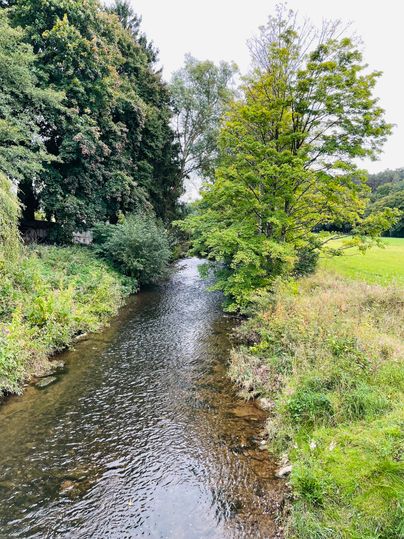 Une rivière calme coule à travers un paysage verdoyant avec des arbres et de l'herbe. La nature est paisible et accueillante.