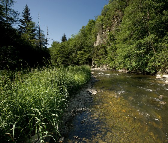 The Our on the Nat'Our Route 1 - border triangle, © Naturpark Südeifel, R. Clement