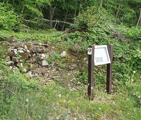 Comfort wandelroute Zemmer 5, © RLP