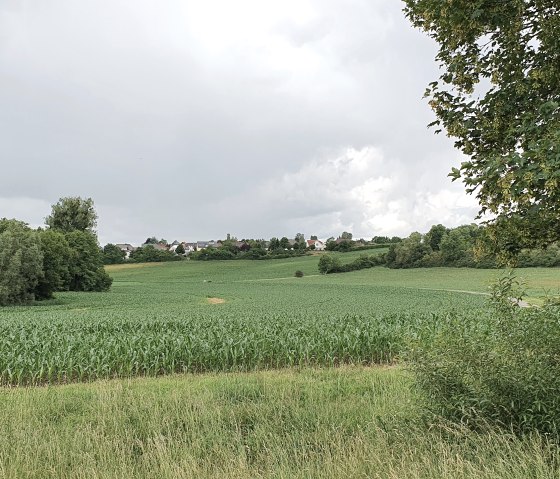 Groene velden en bomen onder een bewolkte hemel, op de achtergrond zijn huizen te zien. Een frame van bomen aan de rechterkant van de foto.